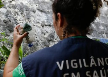 ANÁLISE DE FOTOS DE FACHADAS DE EDIFÍCIOS PODE AJUDAR A MAPEAR ÁREAS URBANAS COM ALTO RISCO PARA DENGUE