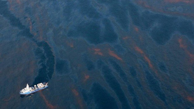 Golfo do México - vazamento de petróleo ameaça várias espécies animais.