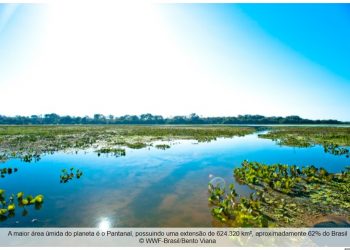 2022: AGIR PELAS ÁREAS ÚMIDAS É AGIR PARA A HUMANIDADE E PARA A NATUREZA