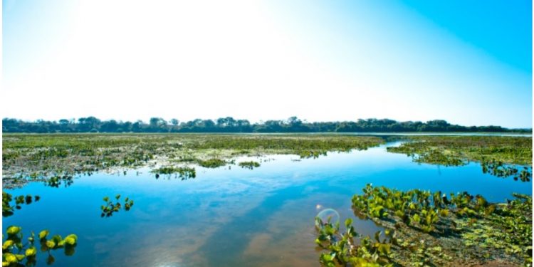 2022: AGIR PELAS ÁREAS ÚMIDAS É AGIR PARA A HUMANIDADE E PARA A NATUREZA